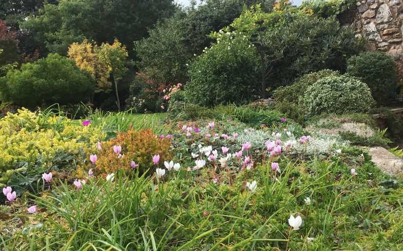 How could a Gardening Consultation with a Professional Horticulturist  benefit you?