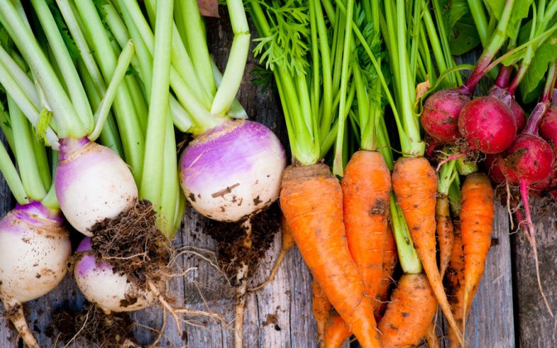 Turning to gardening