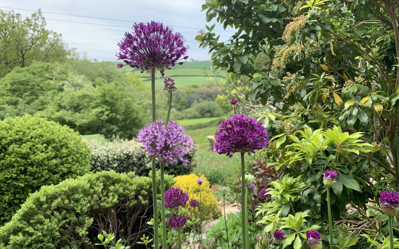 How gardening may help you with depression or the loss of a loved one.